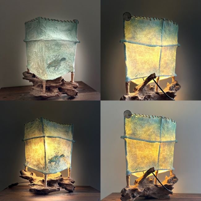 Die Schildkröten-Freundin xx - Lichtskulpturen